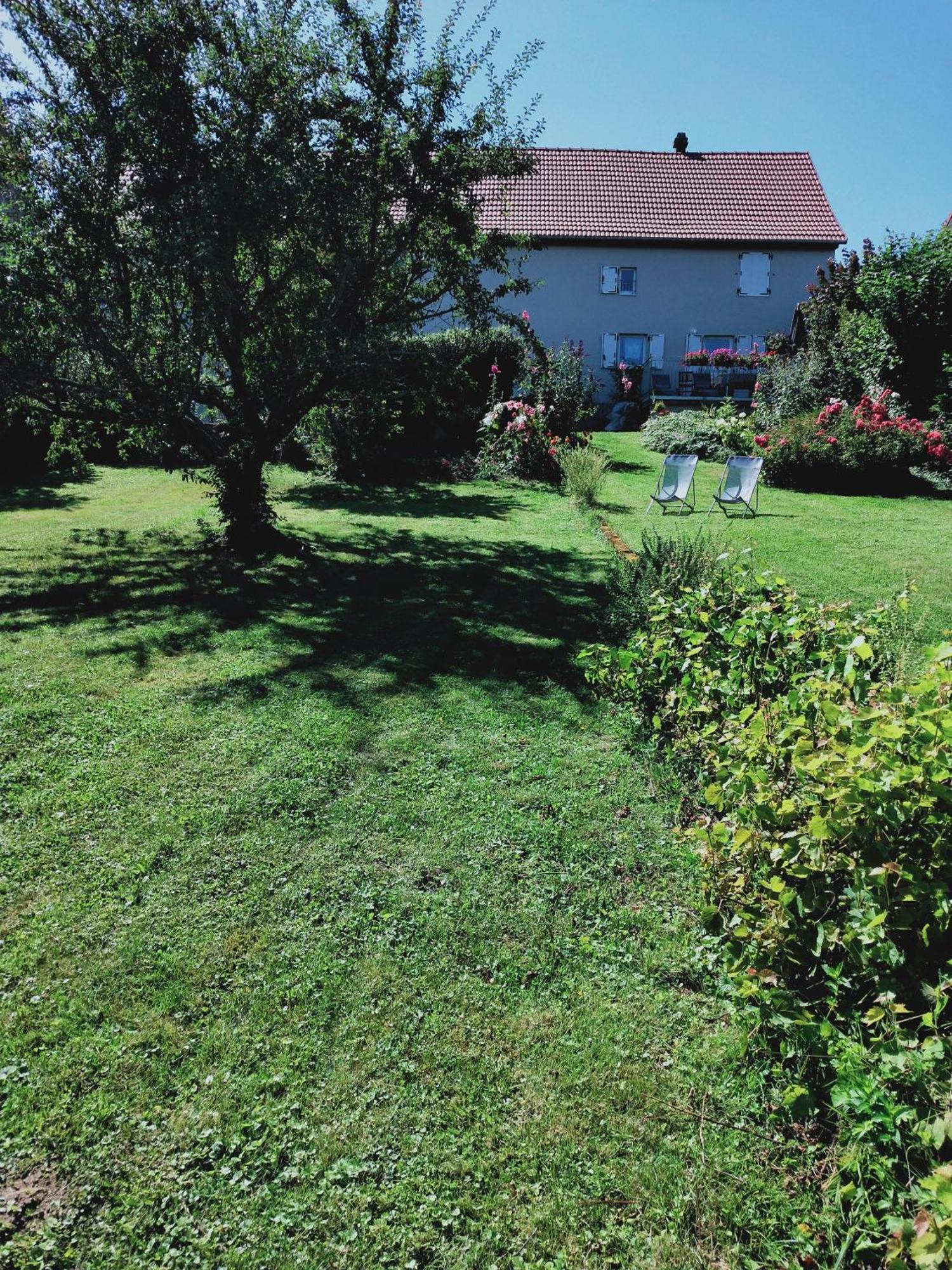 Gite Les Papillons Bining Zewnętrze zdjęcie